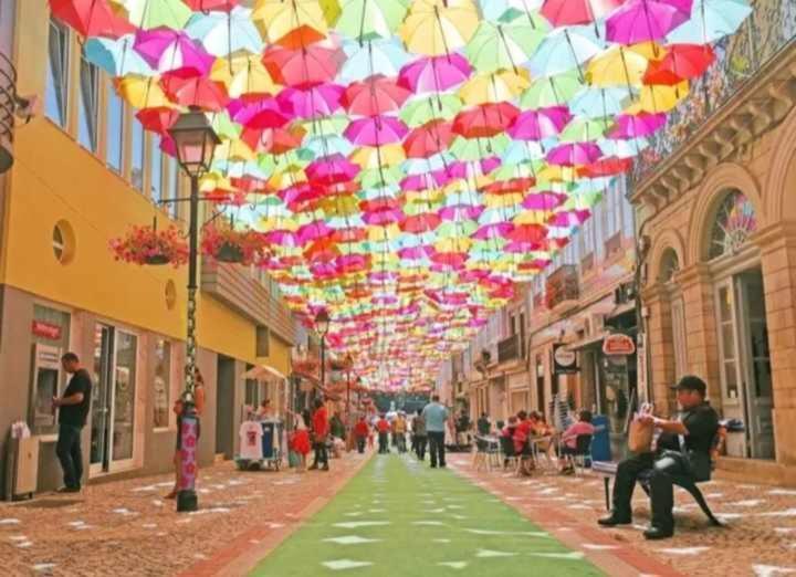 Currais O Pequeno Paraiso Entre O Mar E A Serra Aveiro Dış mekan fotoğraf